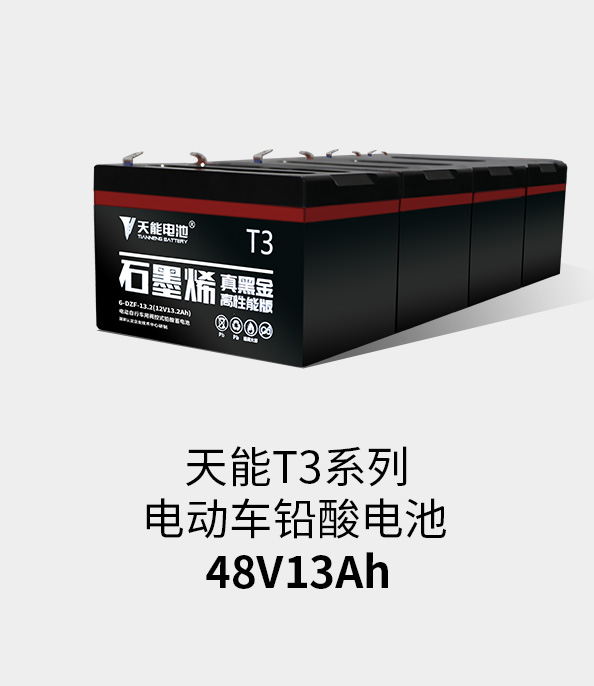 游艇会T3系列48v13ah