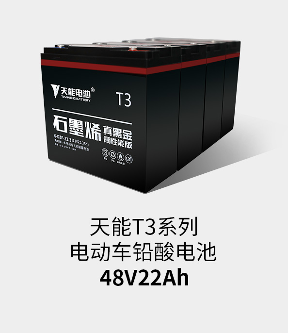 游艇会T3系列48v22ah